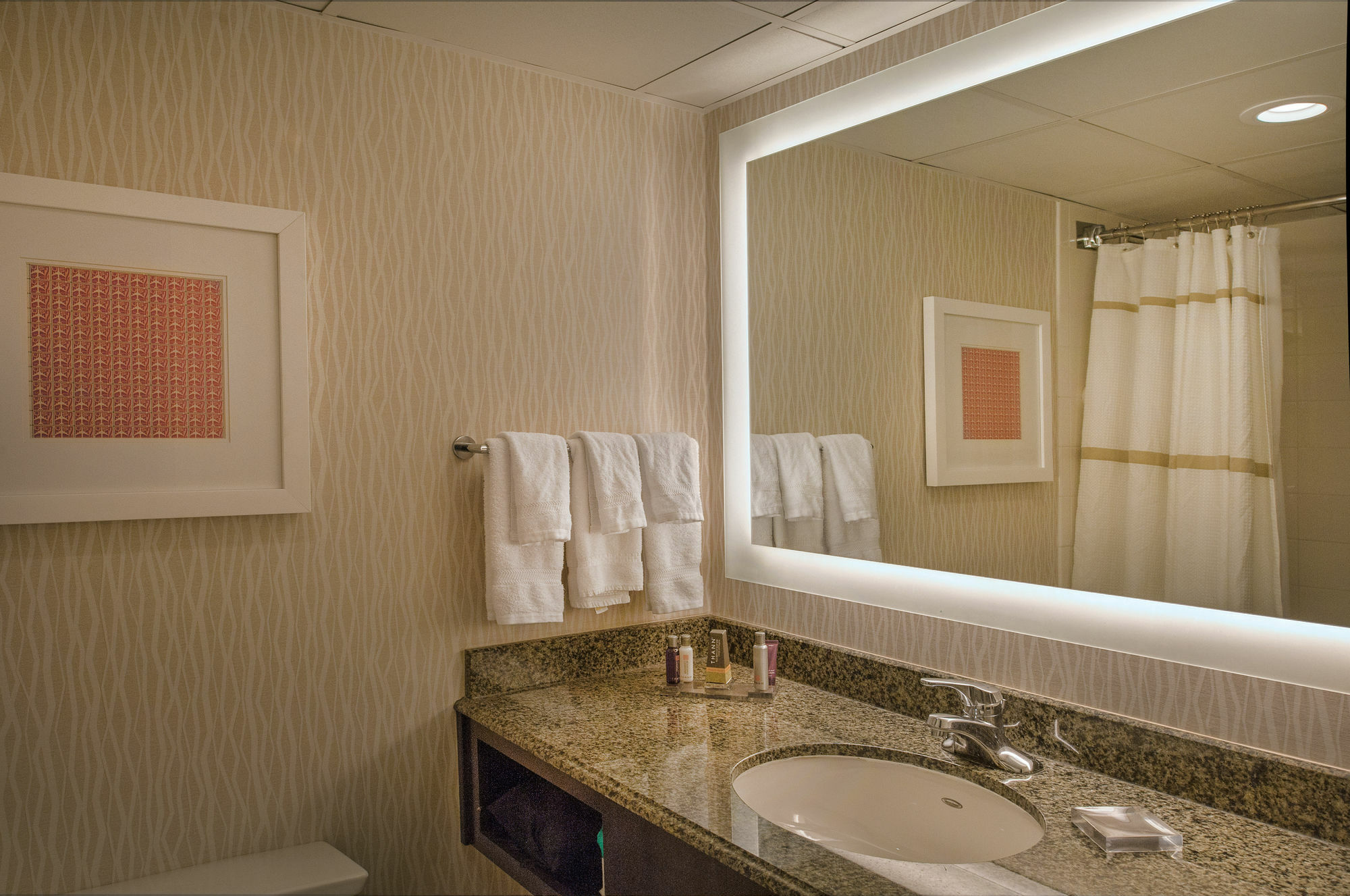 Hotel Marriott St. Louis Airport Edmundson Exteriér fotografie